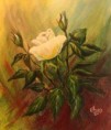 /album/fotogaleria-fine-art/a2010-white-roses-aa-jpg/